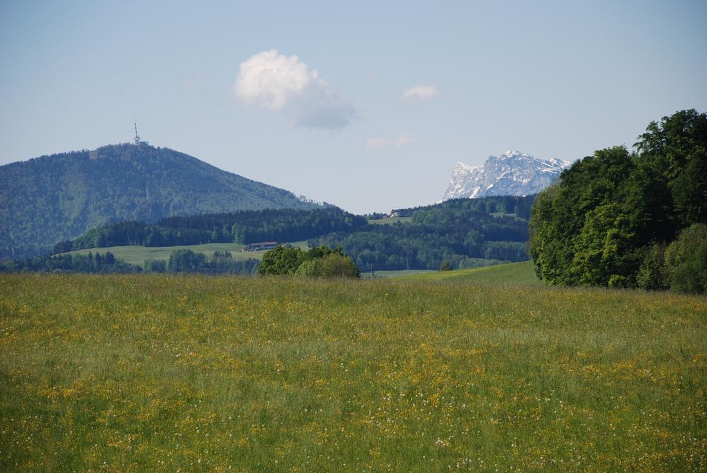 Landhaus Brieger Henndorf am Wallersee Dış mekan fotoğraf