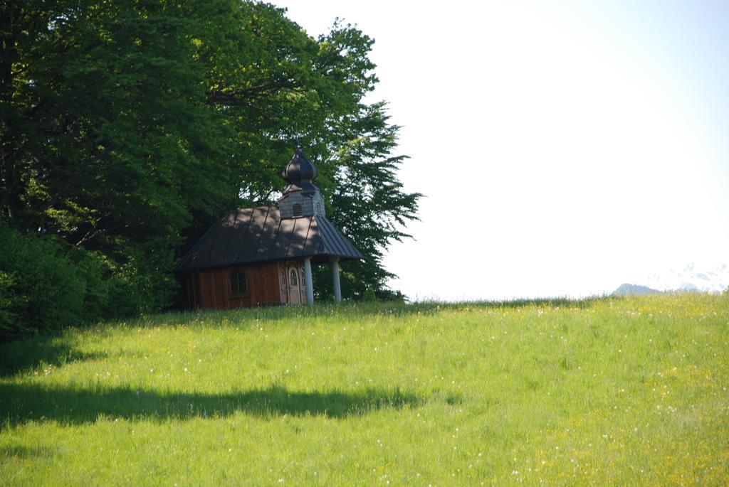 Landhaus Brieger Henndorf am Wallersee Dış mekan fotoğraf